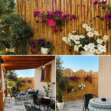 Maison d'hôtes Alesia's Vlorë