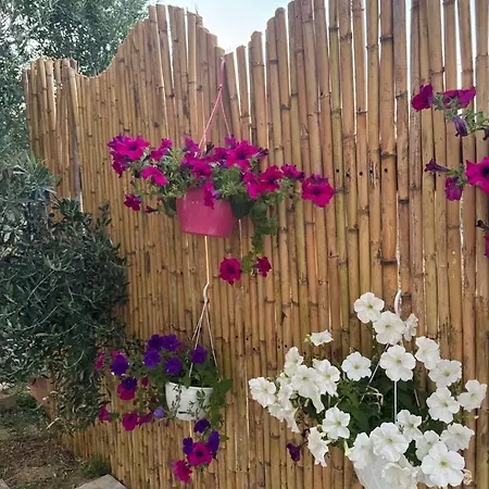 Gasthof Alesia's Vlorë